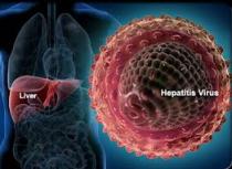 Obat Hepatitis Alami